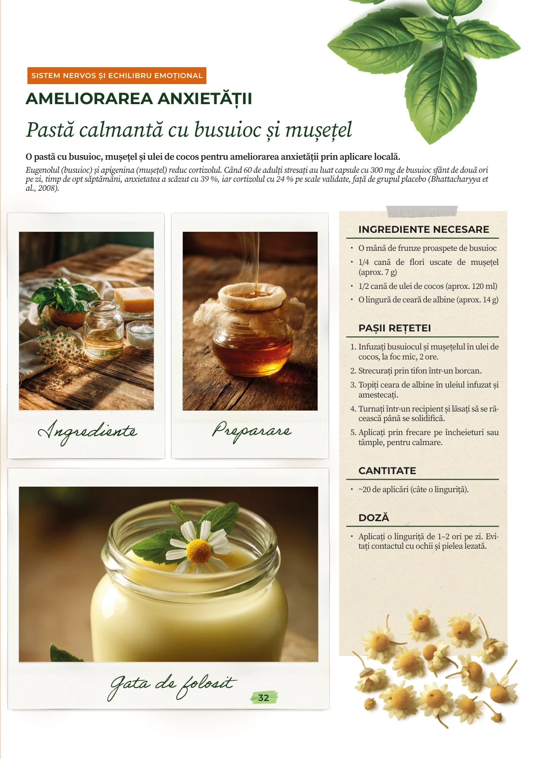 Pagini din ediția SHR în română